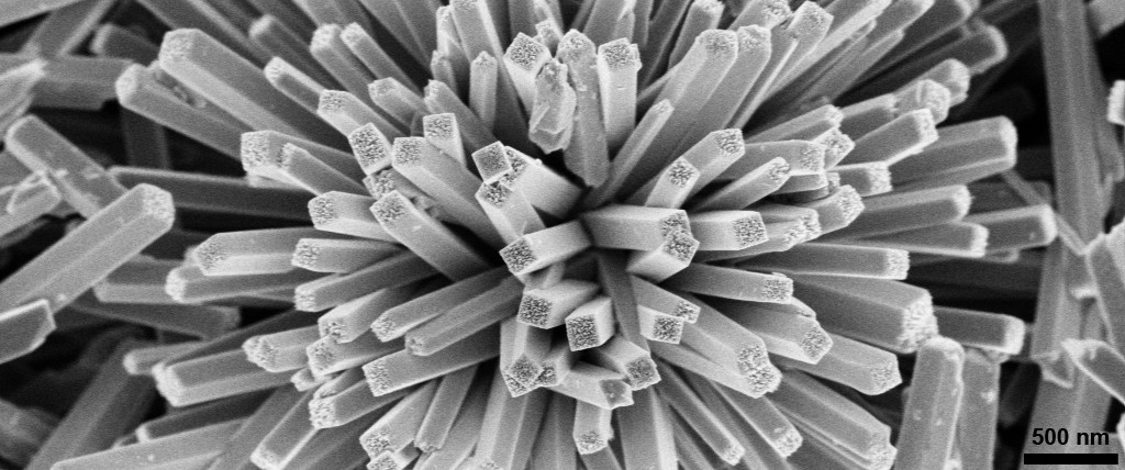 Urchin-like Octahedral Molecular Sieves