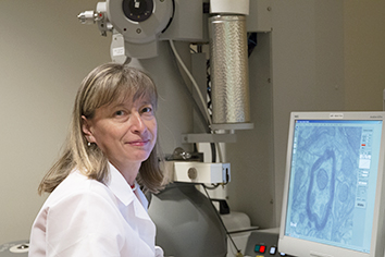 Contact | Bioscience Electron Microscopy Laboratory